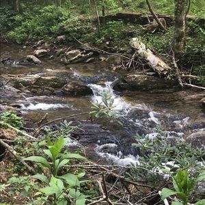 Meet your Posher, Candace